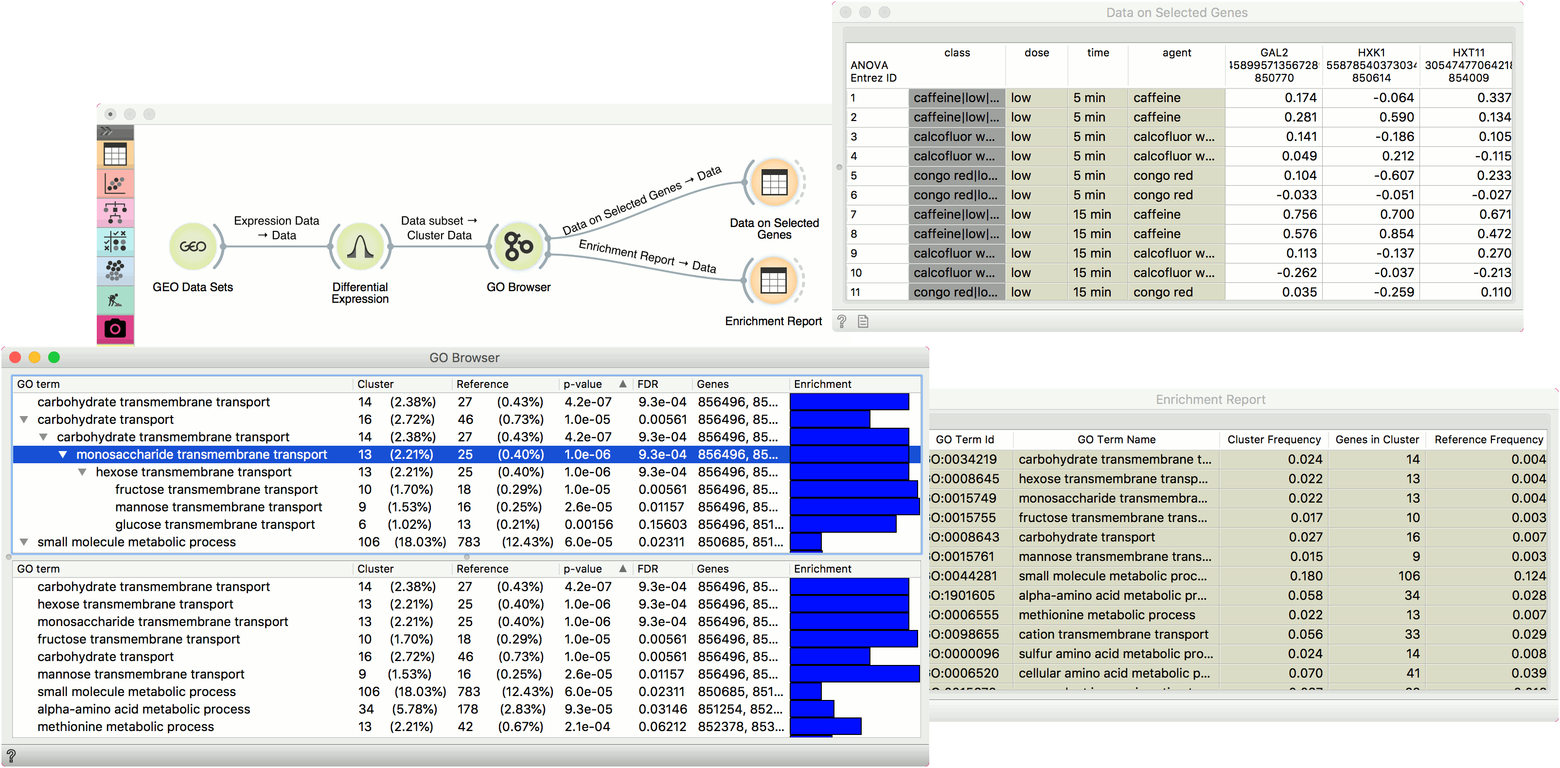 ../_images/GO-Browser-Example.png