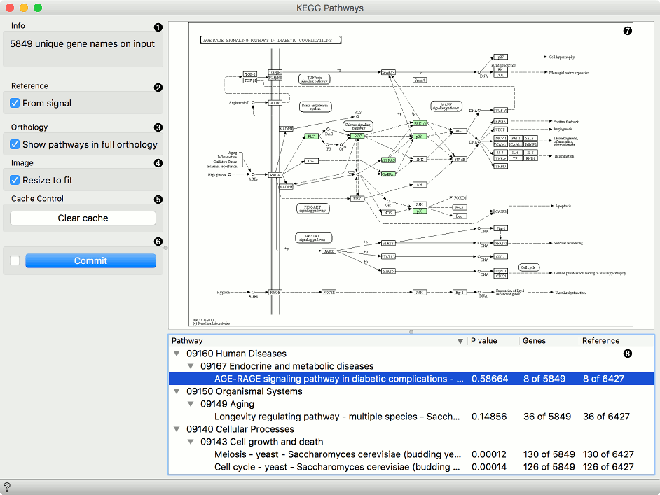 ../_images/KEGG-Pathways-stamped.png
